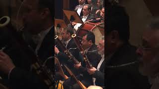 BEETHOVEN 9th BASSOON SOLOS AT 2nd Mov  Alexandre Silvério bassoon [upl. by Atiuqcir]