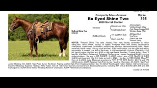 Pitzer Ranch Fall Sale 2024 RX EYED SHINE TWO [upl. by Merwyn]