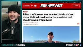 PNut WAS ASSASSINATED CONFIRMED State PREPLANNED Squirrel And Raccoons Deaths BEFORE Raiding [upl. by Coombs]