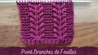 POINT AU TRICOT  Point Branches de Feuilles [upl. by Eardna]