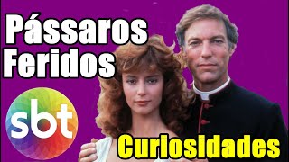 PÁSSAROS FERIDOS 40 anos do Sériado Exibido Pelo SBT  SUCESSO NA NA EMISSORA DE SILVIO SANTOS [upl. by Sebastien945]