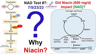 Niacin Increases NAD Test Results [upl. by Caiaphas]