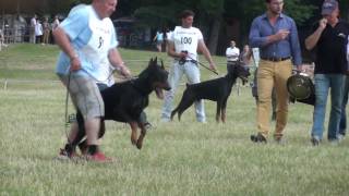 Black Males final  Ale Alamos del Citone  Trophy  AIAD 2010 [upl. by Wertz]