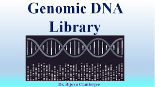 Genomic DNA Library [upl. by Cioffred]