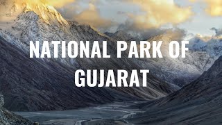 NATIONAL PARK OF GUJARAT [upl. by Maje]