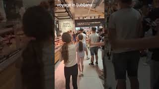 Voyage Ljubljana shorts balkan tiktok [upl. by Ahtnams]