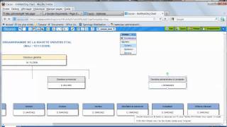 CACOO  Créer un organigramme [upl. by Margaux]