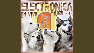 Electronica Bajo 0 [upl. by Brigit477]