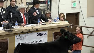 John Korrey Auctioneer calls the Junior Livestock Champions auction [upl. by Naimaj]