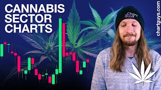 Cannabis Stock Expectations [upl. by Yereffej]