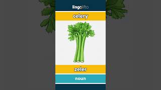 🇬🇧🇸🇰 celery  zeler  vocabulary builder  learn English  naučme sa anglicky [upl. by Okkin]