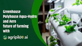 Greenhouse Polyhouse AquaHydro and Aero future of farming with AgriPilotai [upl. by Halstead793]