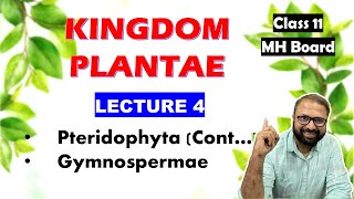 Gymnospermae Kingdom Plantae Lecture 4  Class 11 Biology  Maharashtra State Board [upl. by Otit628]