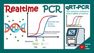 qPCR  qRT PCR  realtime quantitative PCR in 1 minute  biotechniques in 1 minute [upl. by Silvestro]