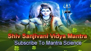 Powerful Shiv Amrit Sanjivani Mantra  Narayan Dutt Shrimali [upl. by Cuyler993]