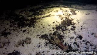 Gopro Hero 2 Dive Housing  Vinkeveense Plassen duik 46 15092012 [upl. by Hope89]