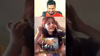 Try Not to Laugh tamil  Bogan React troll comedy tamilreactions [upl. by Einyaj188]