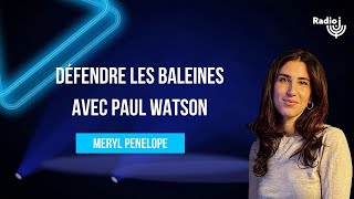 Défendre les baleines avec Paul Watson  Le billet de Meryl Penelope [upl. by Dilahk]