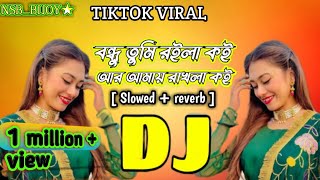 বন্ধু তুমি রইলা কই আর আমায় রাখলা কই। Bondu tumi roila koi dj rimix slowed reverb tiktok viral song [upl. by Adnilam]