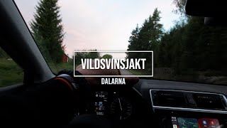 Vildsvinsjakt i Dalarna [upl. by Yticilef695]