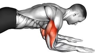 7 Best Exercises To Get Big Triceps Workout [upl. by Us]