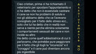 Cristian Siani Educatore Cinofilo Una lotta senza fine [upl. by Franckot]