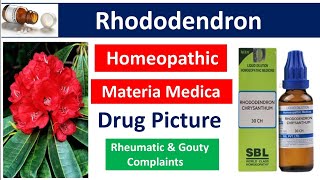 Rhododendron Homeopathic Medicine  Drug Picture  Materia Medica bhms [upl. by Ferreby722]