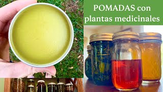 Aprende sobre ACEITES Y POMADAS HERBALES 🌱 herbolaria [upl. by Linder]