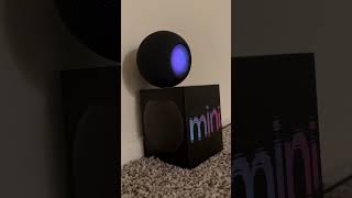 HomePod Mini 2nd Generation  Hey Siri  Oct 11 2024 3AM  iPhone 16 Pro iOS 18 [upl. by Biernat965]