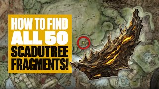 All 50 Scadutree Fragment Locations In Elden Ring Shadow Of The Erdtree  AKA HOW TO GUIDE GUD [upl. by Donnenfeld879]