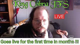 King Cobra JFS LIVE Restream  Reaction [upl. by Tandie]