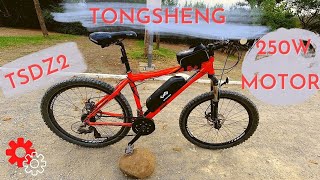 Home made Ebike Tongsheng TSDZ2 250W motor 36v 192Ah battery [upl. by Alegnatal]