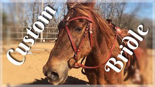 My Custom Celtic Bridle Review and Try On [upl. by Aslin]