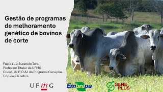 Gestão de programas de melhoramento genético de bovinos de corte [upl. by Mima]