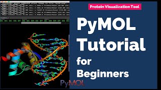 Protein Visualization Tool  PyMOL Tutorial for Beginners [upl. by Heiney]