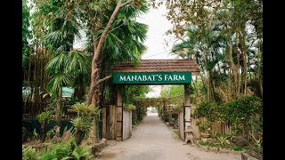 Manabat Farm Resort [upl. by Hortensia755]