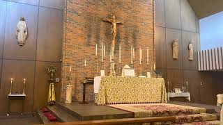 Trinity Sunday St Timothy AngloCatholic Church Fort Worth [upl. by Lledyl]