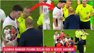 Declan Rice was pushed by Slovakias manager Declan Rice vs Calzona fight England vs Slovakia EURO [upl. by Gallenz]