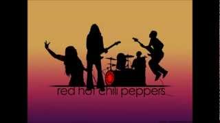 Red Hot Chili Peppers  Higher Ground  Backing Track  Bass and Drums [upl. by Meli]