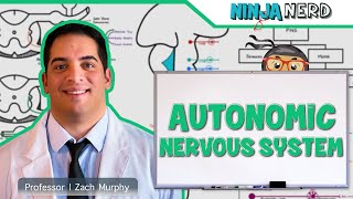 Neurology  Autonomic Nervous System [upl. by Anomis934]