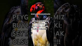 BESMELENİN ÖNEMİ 🕋🕌🤲🏻 islamicstatus besmele şeytan allah islam islamicvideo [upl. by Chicky]