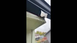 Easy money repair soffit fascia [upl. by Brittney]