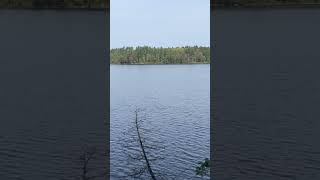 Hiking Trail With A View At Bon Echo Provincial Park [upl. by Scornik]