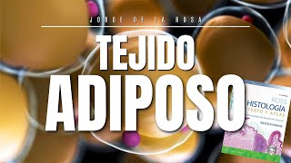 Tejido Adiposo  Resumen Histología Ross 📚 [upl. by Winn]