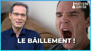 Pourquoi baillonsnous  🥱  Matière Grise [upl. by Attegroeg]