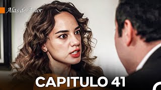 Alas de Amor Capitulo 41 Doblado En Español [upl. by Inoy]