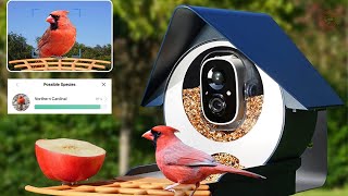 Best Smart Bird Feeders with Camera 2023  The Only 5 You Should Consider Today [upl. by Syned]