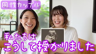 【同性カップル婦x婦】妊活のプロセス👶私たちはこうして授かりました💕 [upl. by Monk]