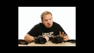 Nikon D90 vs Canon T2i What Should I Buy [upl. by Nimzaj381]