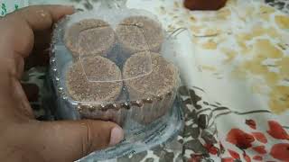 eMillet Cookies Little Millet Chocolate Cookies [upl. by Arimas]